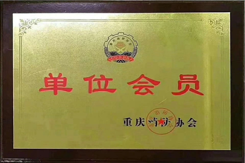 重庆消防协会-单位会员